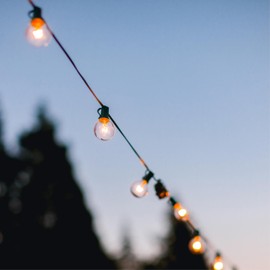 Westinghouse Lighting 5511300 1 Watt (10 Watt Equivalent) S11 Clear LED Light Bulb, Medium Base