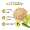 H&C HERBAL INGREDIENTS EXPERT H&C 100% Natural Amla Powder (Emblica