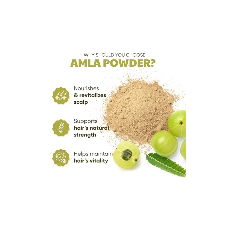H&C HERBAL INGREDIENTS EXPERT H&C 100% Natural Amla Powder (Emblica