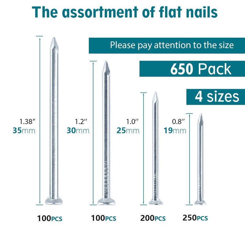 Nail for Hanging Pictures Assortment Kit - 650Pcs Small Nails,