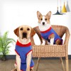 Dog Recovery Suit Stretchy Prevent Licking Adjustable Pet Post Surgery