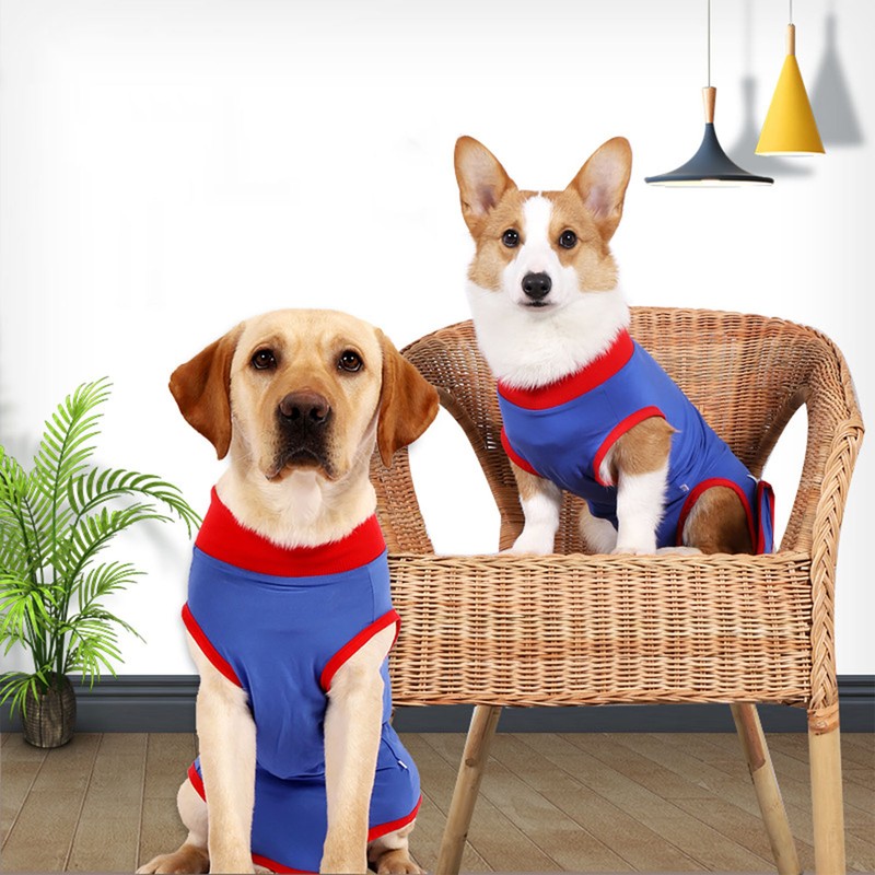 Dog Recovery Suit Stretchy Prevent Licking Adjustable Pet Post Surgery