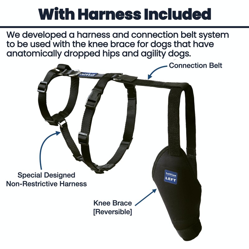 LufeLux Dog Knee Brace with Harness and Connection Belt, Lightweight