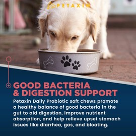 Petaxin Probiotics for Dogs - 6 Strains with Prebiotics - Supports Digestive and Immune System – Relief for Diarrhea, Bad Breath, Allergies, Gas, Constipation, Hot Spots - Made in USA - 240 Chews