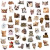 DERFILIN 100PCS Cute Cat Stickers Pack, Kids Birthday Gift Stickers