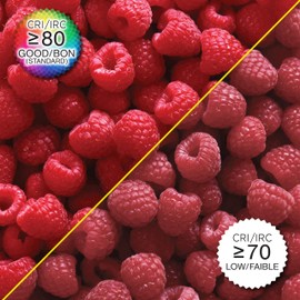 Luminus 6-Pack A19 Led Bulb 100W Equivalent (14W) 1500 Lumens, 15000 Hour Lifespan, Non-Dimmable, 2700k Warm White