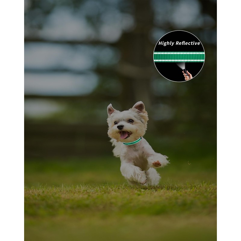 TagME Reflective Nylon Dog Collars, Adjustable Classic Pet Collar with