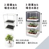daim Succulent Mansion Black Kamen-kun Succulent Plants