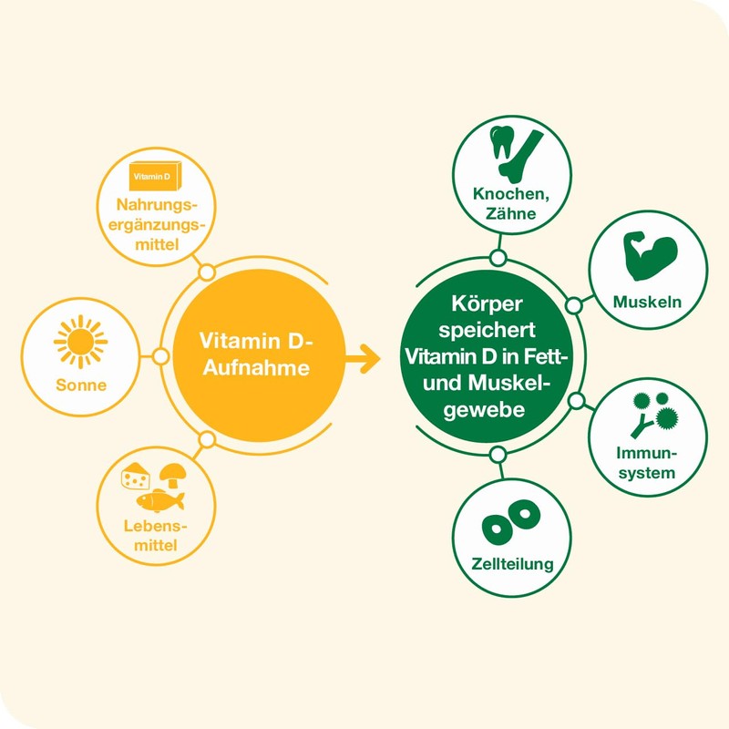 Vitamin D-L oges 7,000 IU Vegetable - 90 Soft Capsules