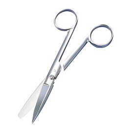 Anatomy Scissors (Stainless Steel) D Single Point Removal Type