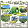Wormwood Hot Water Bath Pack, Made in Ehime Prefecture, 100%
