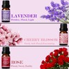 SALKING Floral Essential Oils Set, Premium Pure and Natural Essential Oils,