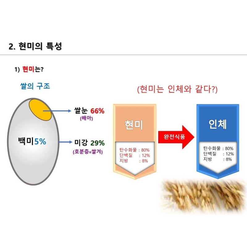 Yoon Gawon Nurungji Gawon Rice Brown Rice Cheonmi Rice 300g