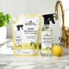 J.R. Watkins Foaming Dish Soap Refill Pouch, Crafted Clean &