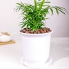FANTIAN 2 lbs Clay Pebbles for Plants, 8-12 mm Leca