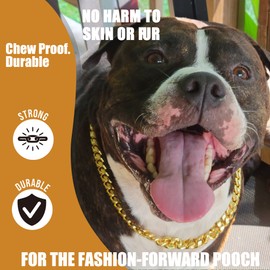 LuxLife Gold Cuban Link Dog Collar, 10MM Stainless Steel, 5 Layer 18K Gold Plated, 'O' Lock, Bell & Bone Tag, Small to Large Dogs