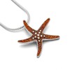 DUR P3428 Jewellery Pendant Star/Amber 925 Silver Rhodium-Plated, Sterling Silver,