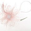 DRESHOW Fascinators Hat Flower Mesh Ribbons Feathers on a Headband