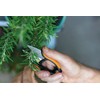 Fiskars Herb Scissors Length 5.1" Stainless Steel Blades/Plastic Handles Black/Orange