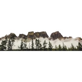 H13642 Castle Mountain Trees Fog Banff National Park Canada Cardboard Cutout Standee Standup