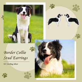 Dog Stud Earrings 925 Sterling Silver-Cute Puppy Dog Stud Earrings for Women-Hypoallergenic Dog Earring Jewelry Gifts for Young Ones (Border Collie Dog)