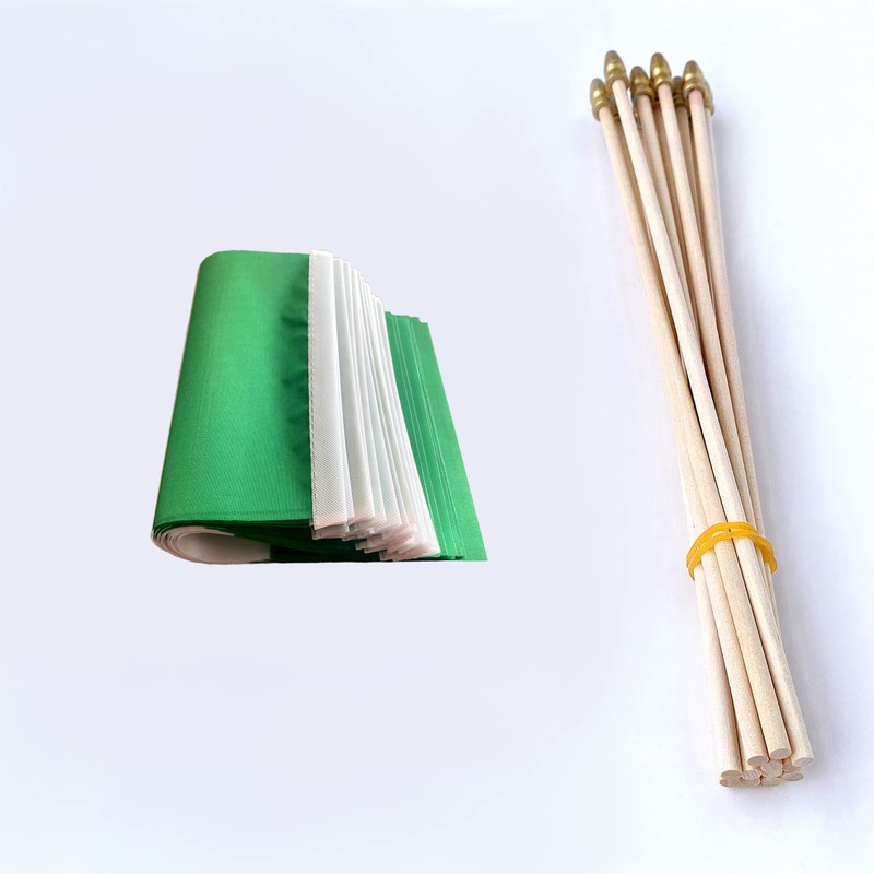 TSMD Nigeria Stick Nigerian Small Mini Hand Held Flags,5x8 Inch,12