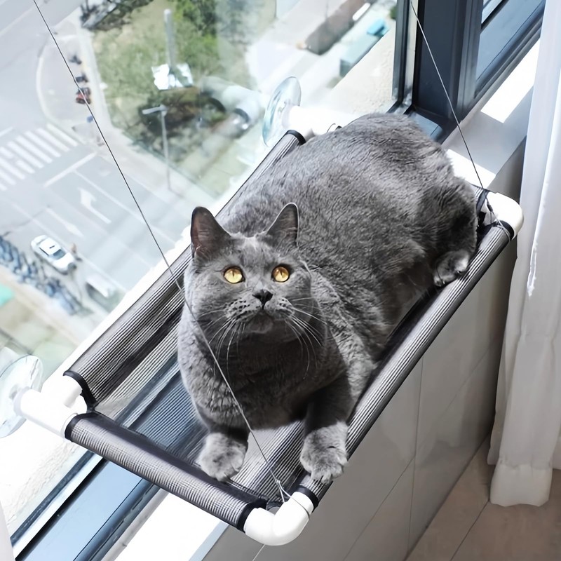 Frayot Cat Window Hammock,2Pack Medium Cat Window Hammock with 8