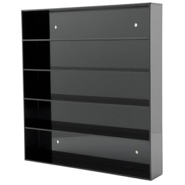 Dazzling Displays Acrylic Spice Rack Case Display (Style A - Black)