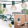 Goeszooin G40 Replacement Bulbs, 120V 5W Incandescent Globe Light Bulbs