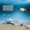 Dovesun Foam Floats Pompano Rigs Fishing Rig Floats Fly Fishing
