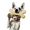 Augie Bones Non-Toxic Dog Toys - Sustainable Peanut Butter Flavored