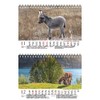 Eselzauber DIN A5 Desk Calendar for 2022 Donkey Seelenzauber