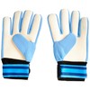 Team Merchandise Goalkeepers Gloves - Youth