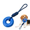 Squeaky Dog Toys,Spiky Ring Chewing Trainer | Interactive Toy with