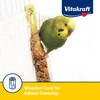 Vitakraft Crunch Sticks Parakeet Treat - Triple-Baked Millet Parakeet Treats