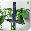 protanic Tomato Rod Plant Support Trellis with Plant Clips