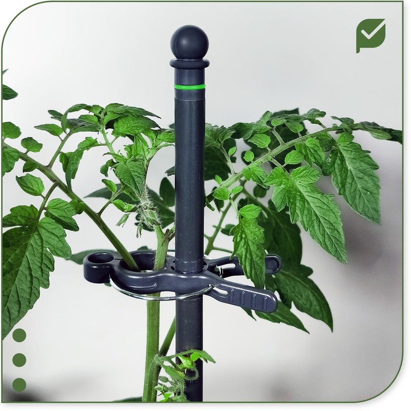 protanic Tomato Rod Plant Support Trellis with Plant Clips