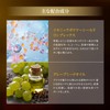 BCKUR BC Deep Sleek Oil Type Leave in Treatment Salon