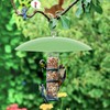 andergi 13" Bird Feeder Rain Guard, Hummingbird Feeders Shade Dome