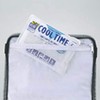 Captain Stag Delis M-1851 Silver Soft Cooler Bag, 3.9 gal