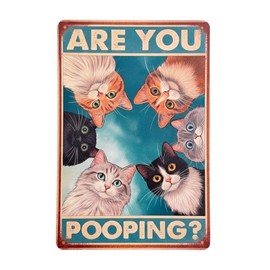 Funny Bathroom Decor Toilet Rules Sign Bathroom Rules Wall Decor Signs for Home Decor 8”x12” (Color-5)