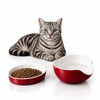 LivLab Mker Elevated Cat Food Bowl, Anti‑Vomiting Raised Cat Bowl