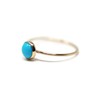 Salish Sea Inspirations Arizona Mined Turquoise 14K Gold Filled Skinny
