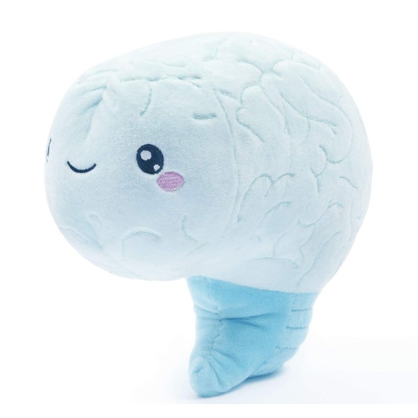 nerdbugs Brain Plush Organ- Love on The Brain- Brain Plush Organ Toy/Get Well Gift/Health Education Toy/Neuroscience or Neurology Plush Toy Organ Gift/Surgeon Gift