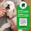 Greenies Veterinarian-Recommended Adult Natural Dental Dog Treats Regular Size, Original