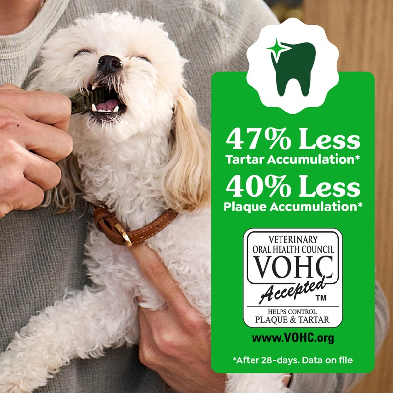 Greenies Veterinarian-Recommended Adult Natural Dental Dog Treats Regular Size, Original