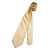 DiBanGu Gold Yellow Floral Tie for Men Silk Paisley Necktie