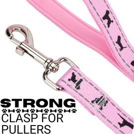 EcoBark Dog Leash - Soft & Reflective Comfort Training Leashes with Padded Handle - Strong Durable Heavy Duty - Training and Pulling for Small, Medium or Large Dogs (Baby Pink)