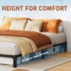 GAOMON Bed Frame Queen Size, 14 Inch Metal Platform, No