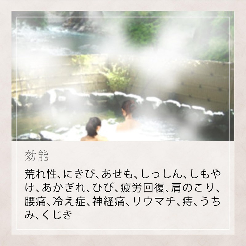Japan Hot Spring - Ryujin- 30g - 5 piece